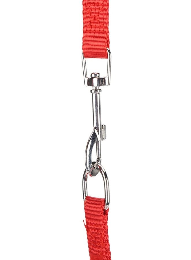 Lampostick Cat Harness with 1.5m Leash, Cat Belt Adjustable Size Breathable Cat Vest Strap with Safety Reflective Strip, Cat Leash with Harness for Small Cat and Dog (M, Orange) - Image 3